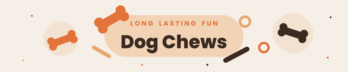 Dog Chew Toys