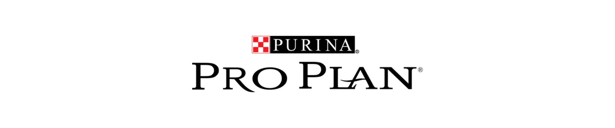 Pro Plan