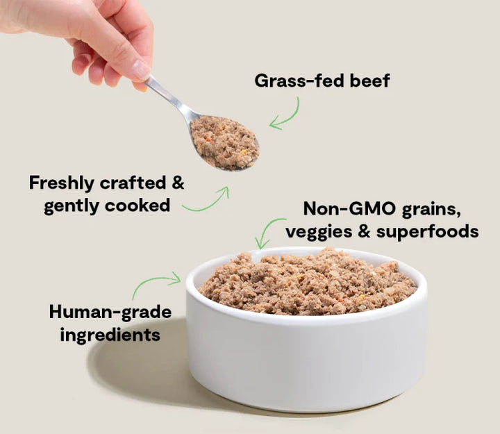 Open Farm Frozen Goodbowl Beef Wholesome Grains 96 oz Bulk