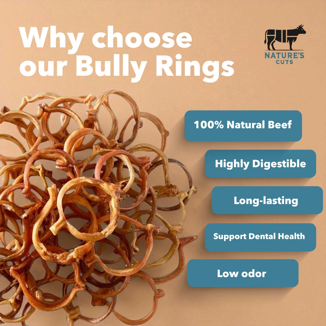 Mighty Chewz 4in Bulk Bully Rings EA