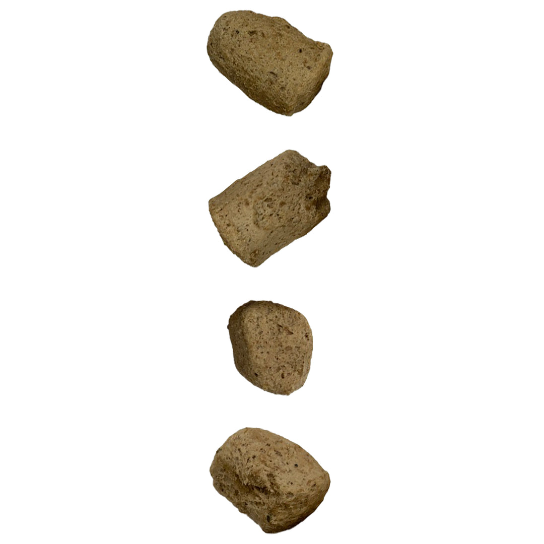 Freeze-Dried Stella&