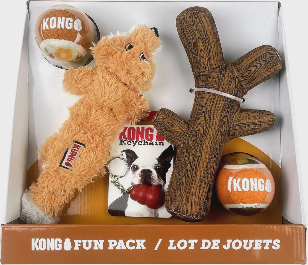 Kong Dog Toy Fun Pack Medium