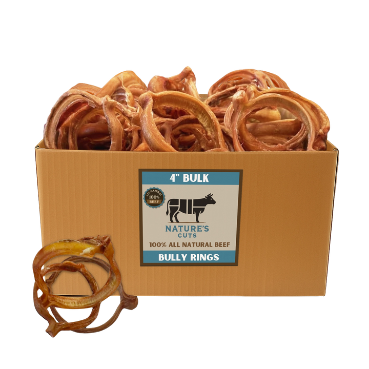 Mighty Chewz 4in Bulk Bully Rings EA