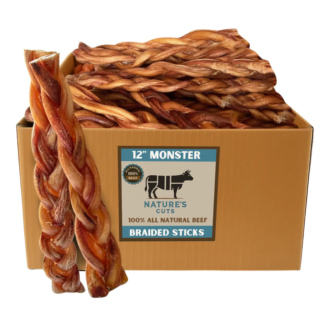 Mighty Chewz 12in Monster Braided Bully Sticks EA