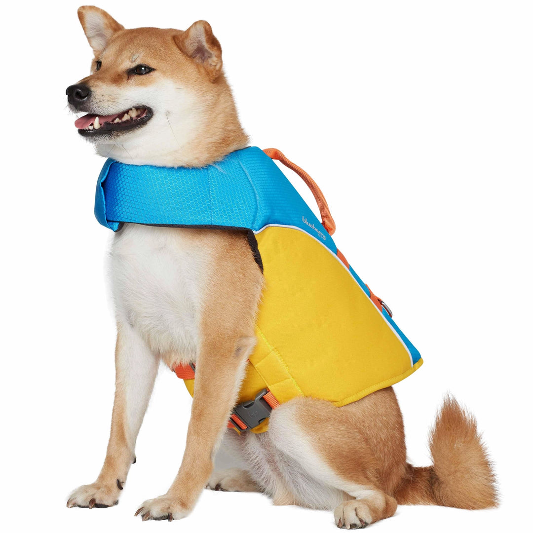 BlueBerry Pet Reflective Dog Life Jacket / Pink and Fuchsia / Small / Blue and Brillant Yellow / Small / Blue and Brillant Yellow / XSmall / Pink and Fuchsia / Small / Pink and Fuchsia / Small / Pink and Fuchsia / Small / Pink and Fuchsia / XSmall