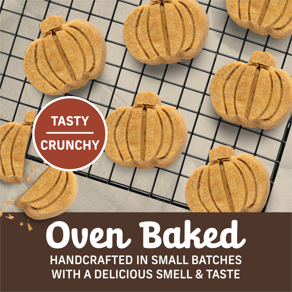 Merrick Oven Baked Pumpkin Patch Dog Treat 11 oz unpacked