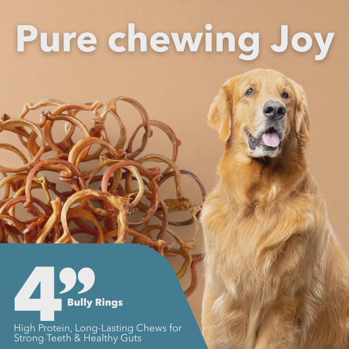 Mighty Chewz 4in Bulk Bully Rings EA