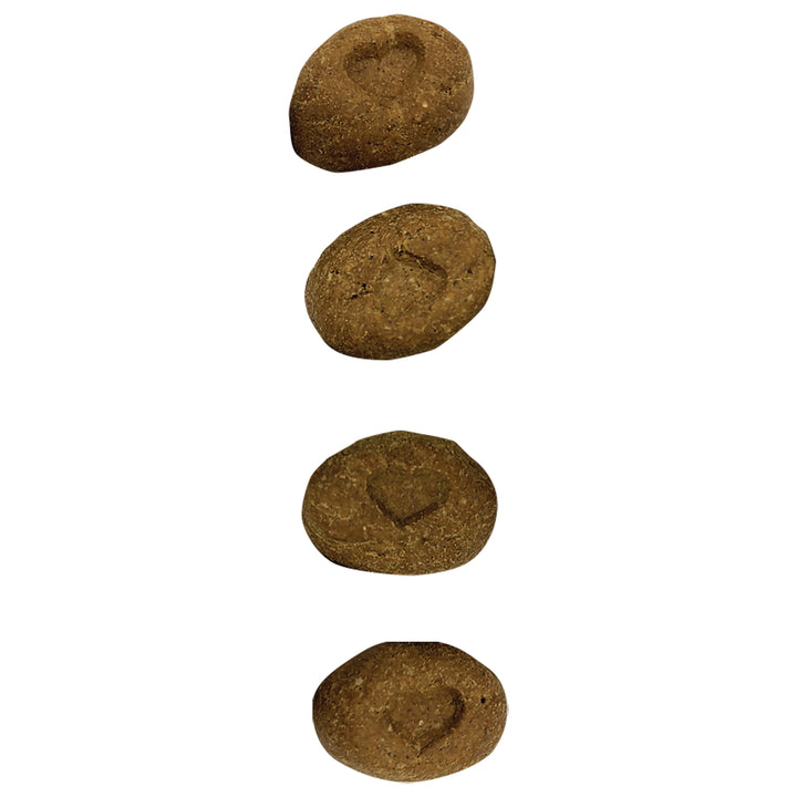 Raw Coated Biscuits Chicken - 9 oz
