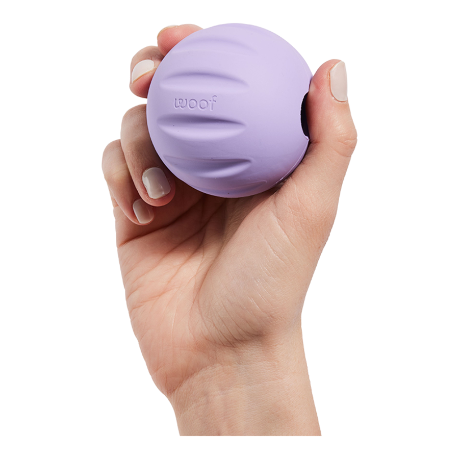 Woof Dog Toy Forager Flyball Single Lavender