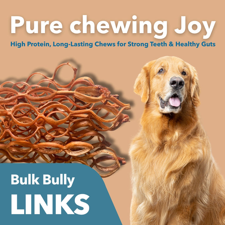 Mighty Chew Bulk Bully Links Stick EA