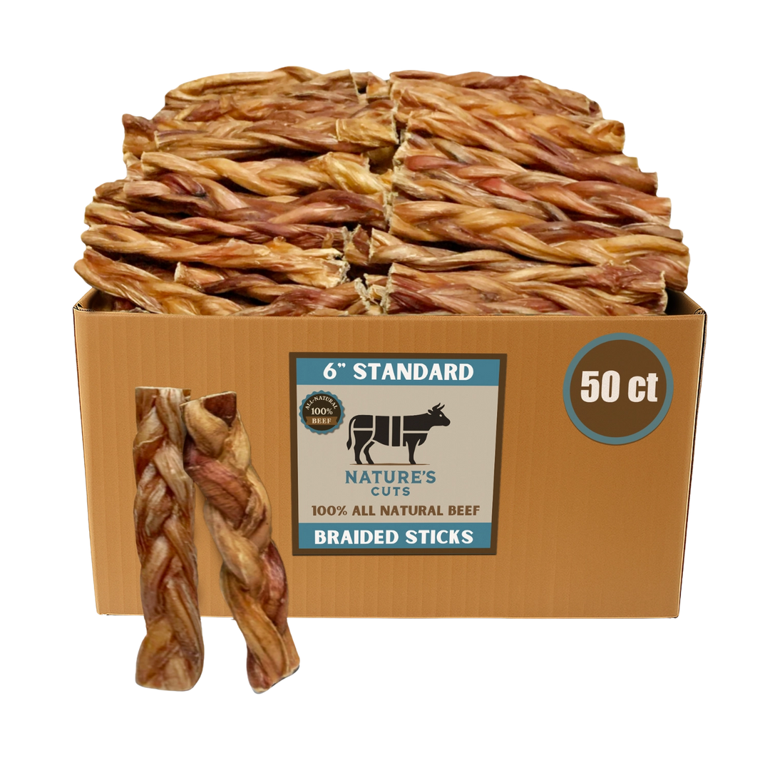 Mighty Chewz 6in Standard Braided Bully Sticks EA