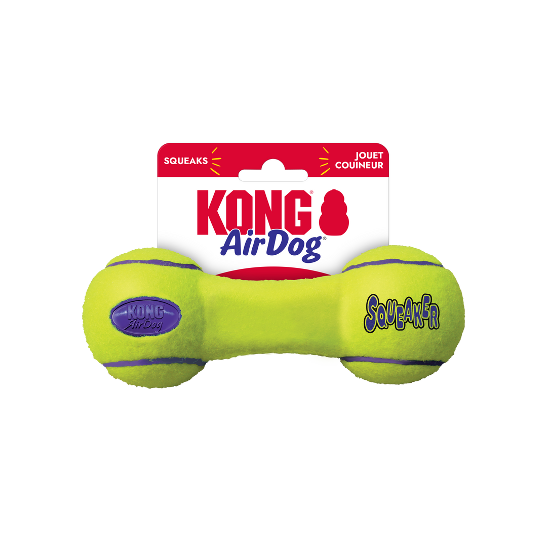 Air Kong Dumbbell Squeaker Dog Toy