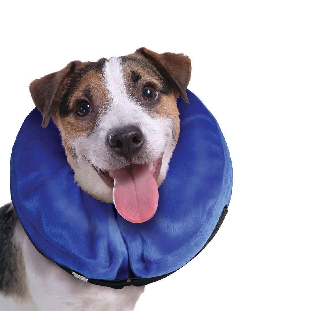Kong Cloud Collar Medium