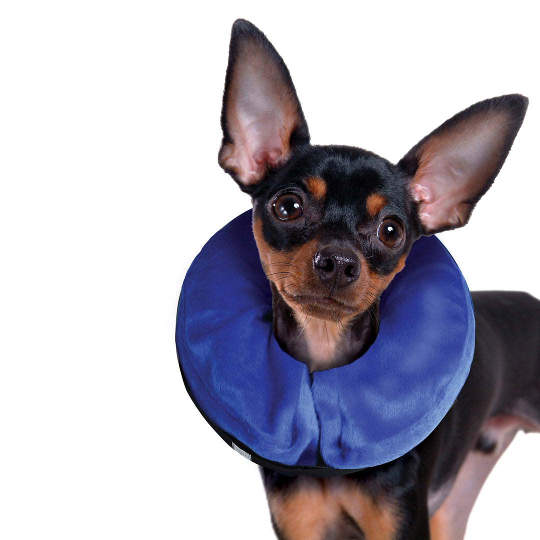 Kong Cloud Collar Small