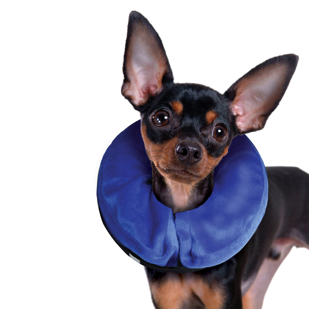 Kong Cloud Collar XS
