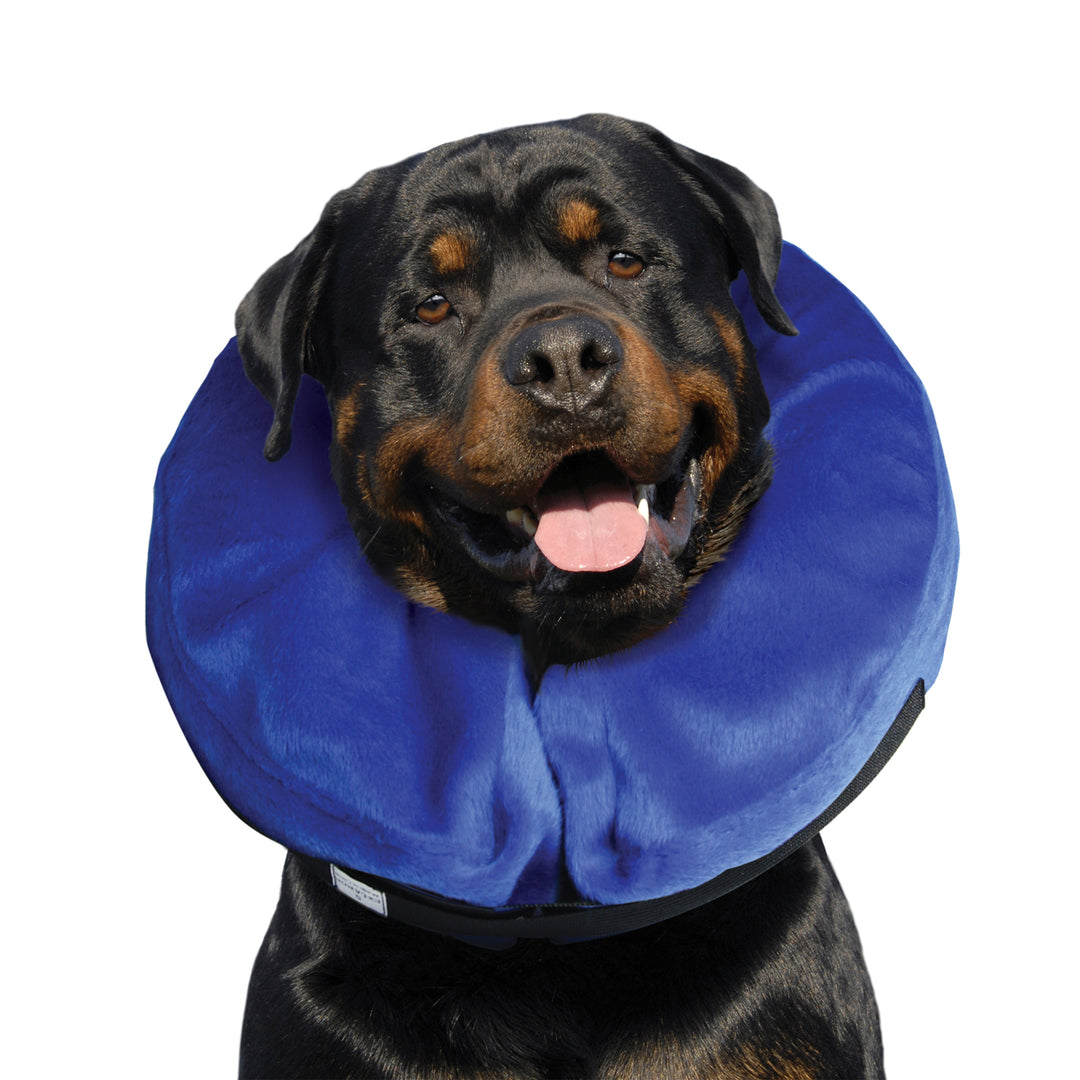 Kong Cloud Collar XL