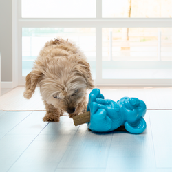 Kong Rewards Zoolooz Elephant Dog Toy Medium