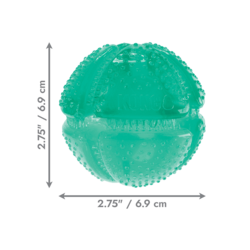 Kong Squeezz Dental Ball Teal Medium