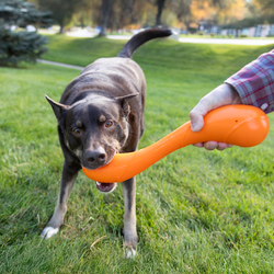 KONG Squeakz Stick Dog Toy Orange LG