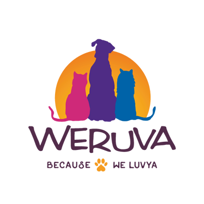 Brand logo 6