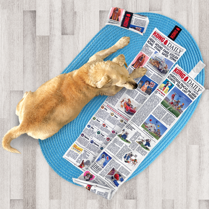 Kong Daily Newspaper Extra Large Dog Toy