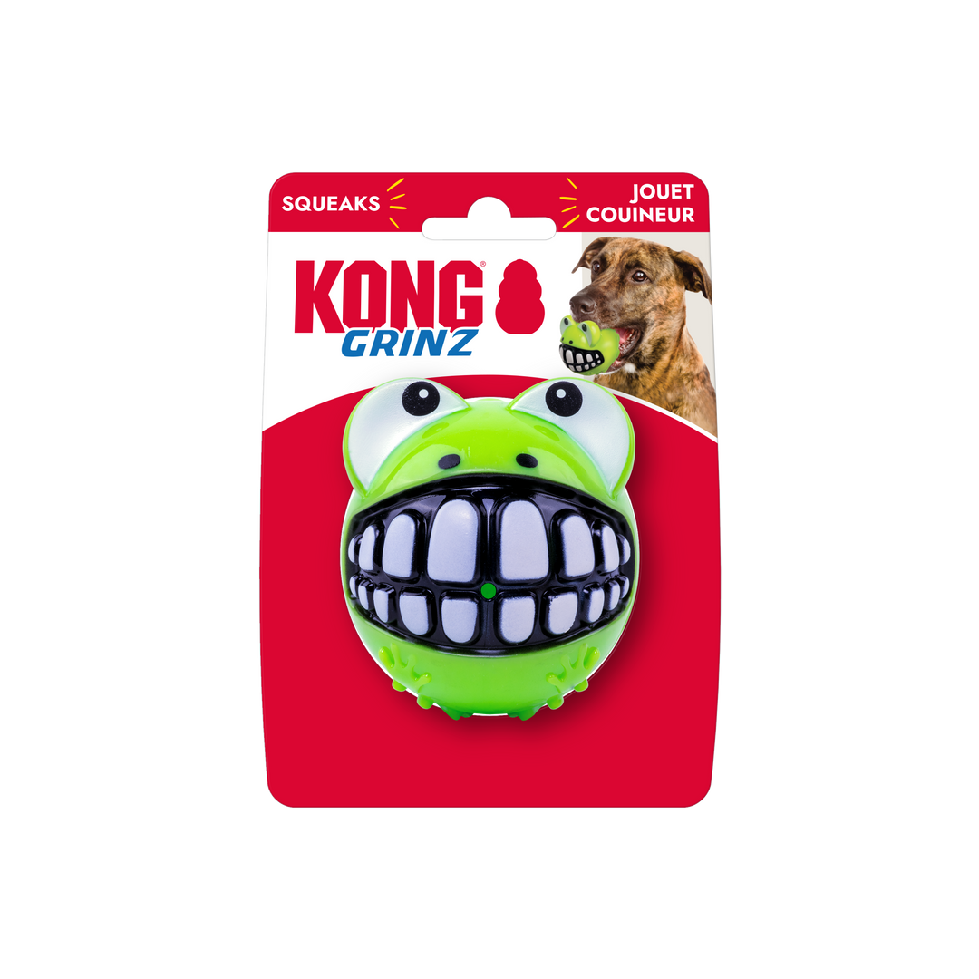 KONG Grinz Frog Dog Toy Green LG