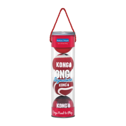 KONG Signature Ball Dog Toy Assorted 4 pk