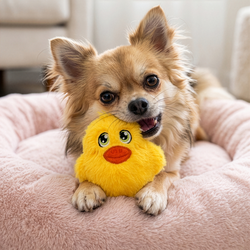 Kong Snuzzles Mini Duck Dog Toy Extra Small