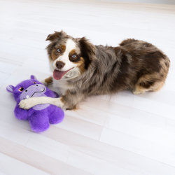 Kong Snuzzles Hippo Dog Toy Extra Large