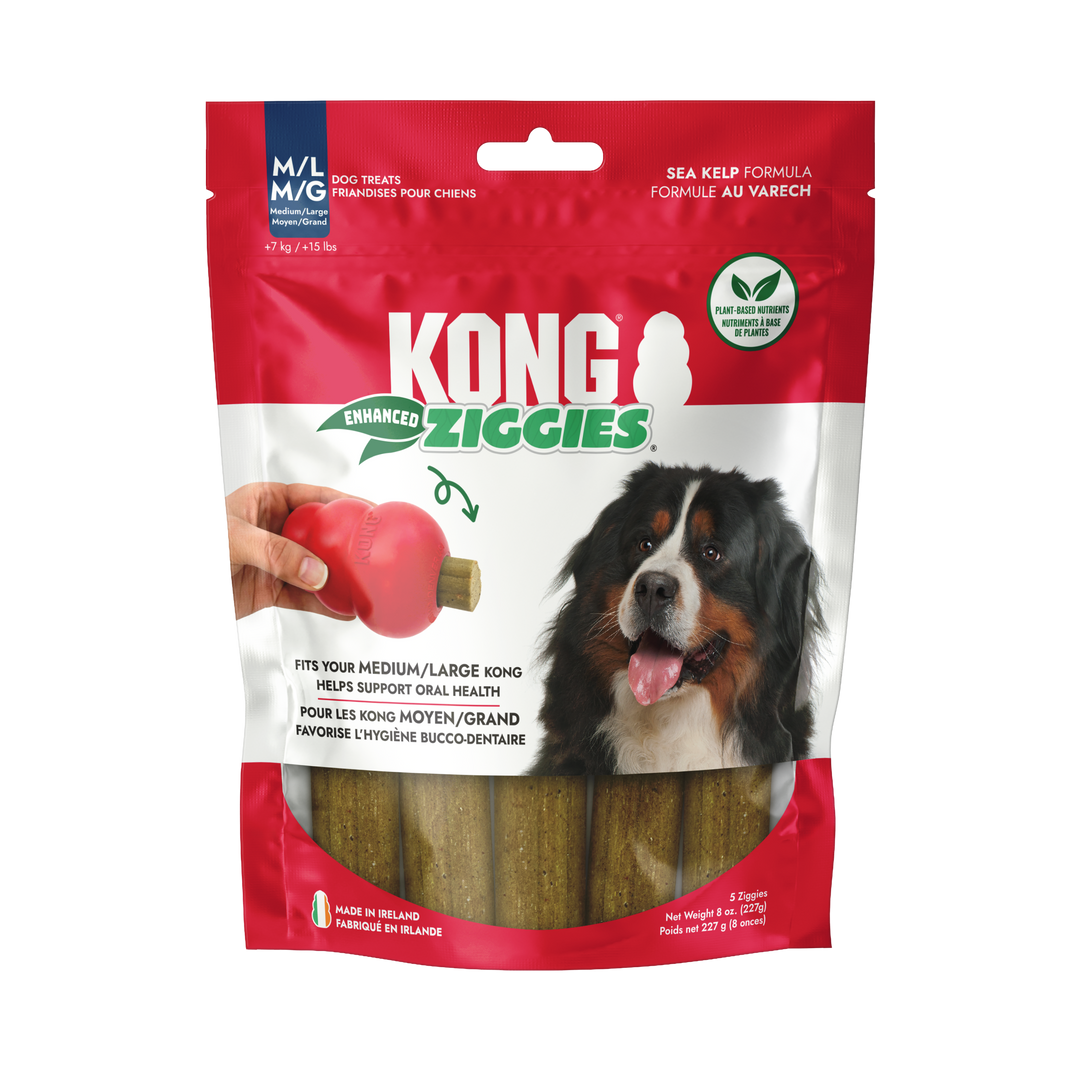 Kong Ziggies Enhanced Md Lg 8 oz