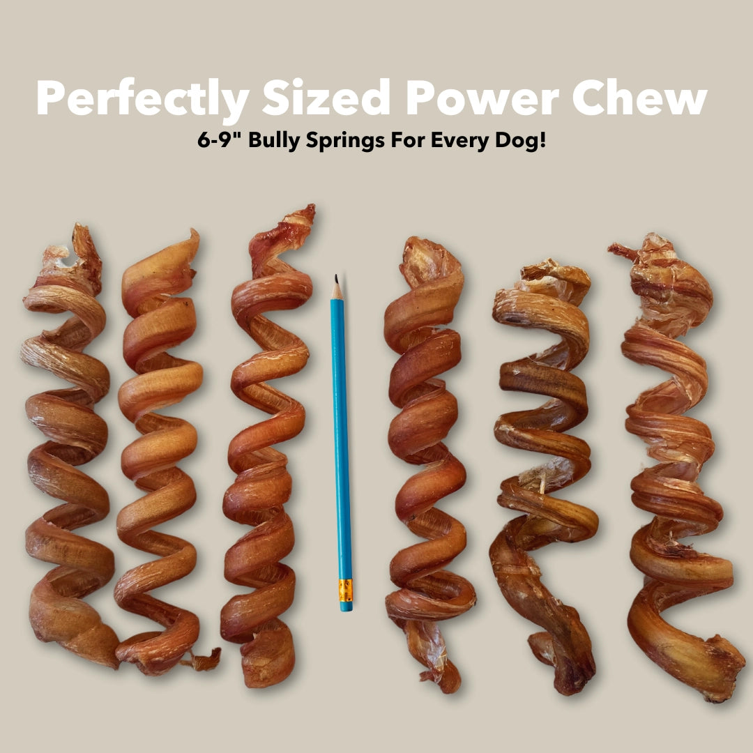 Mighty Chewz 6 to 9in Bulk Bully Springs EA