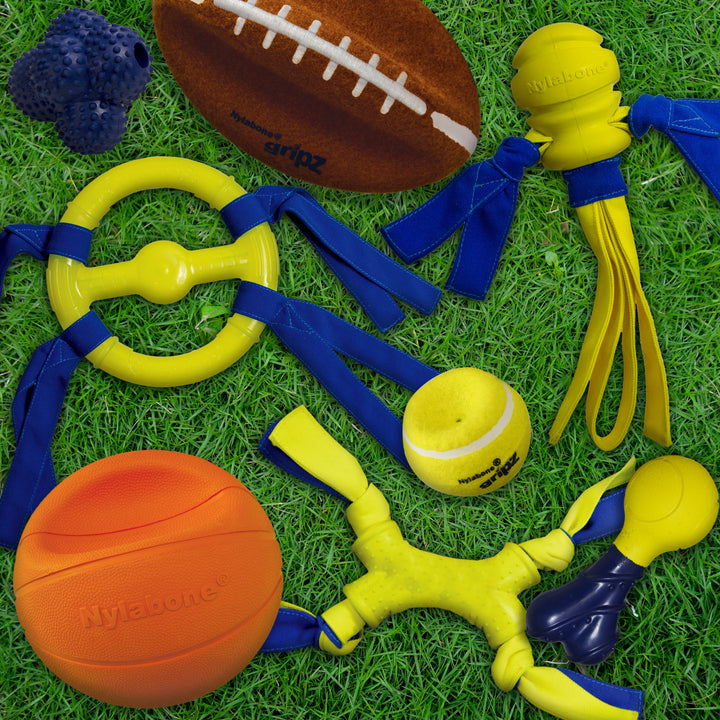 Nylabone Power Play B-Ball Gripz Basketball Dog Toy Large 6.5 Inch (1 Count)