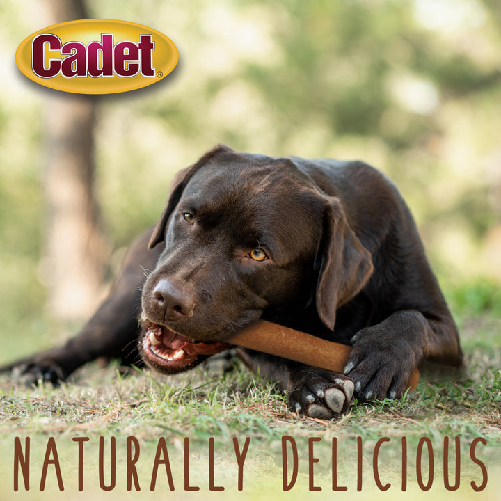 Cadet Gourmet Savory Chicken Rolls Rawhide Alternative 6 Ounce (1 Count)