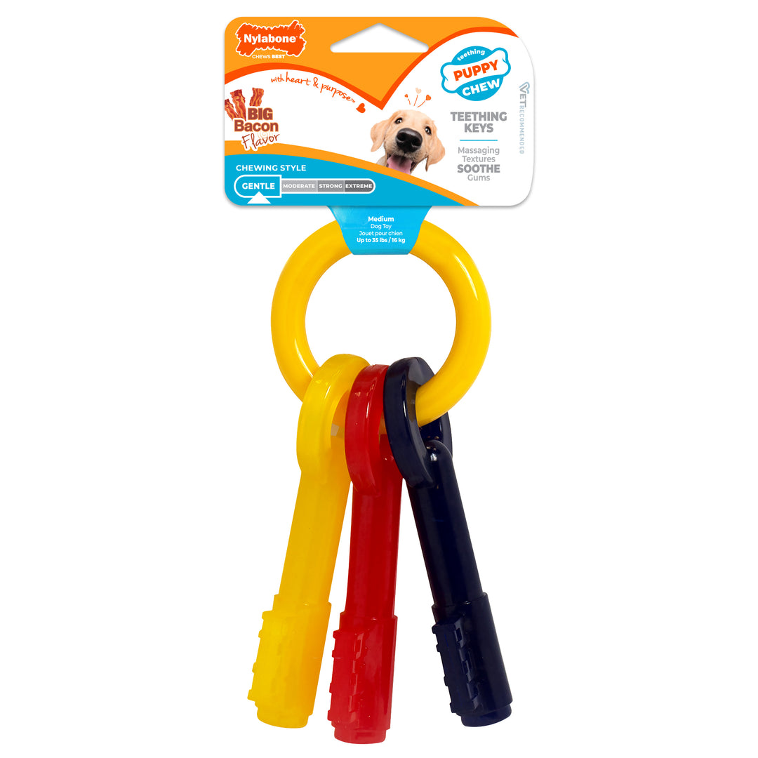 Nylabone Puppy Chew Teething Keys Dog Chew Toy Bacon Medium (1 Count)