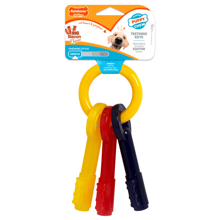 Nylabone Puppy Chew Teething Keys Dog Chew Toy Bacon Medium (1 Count)