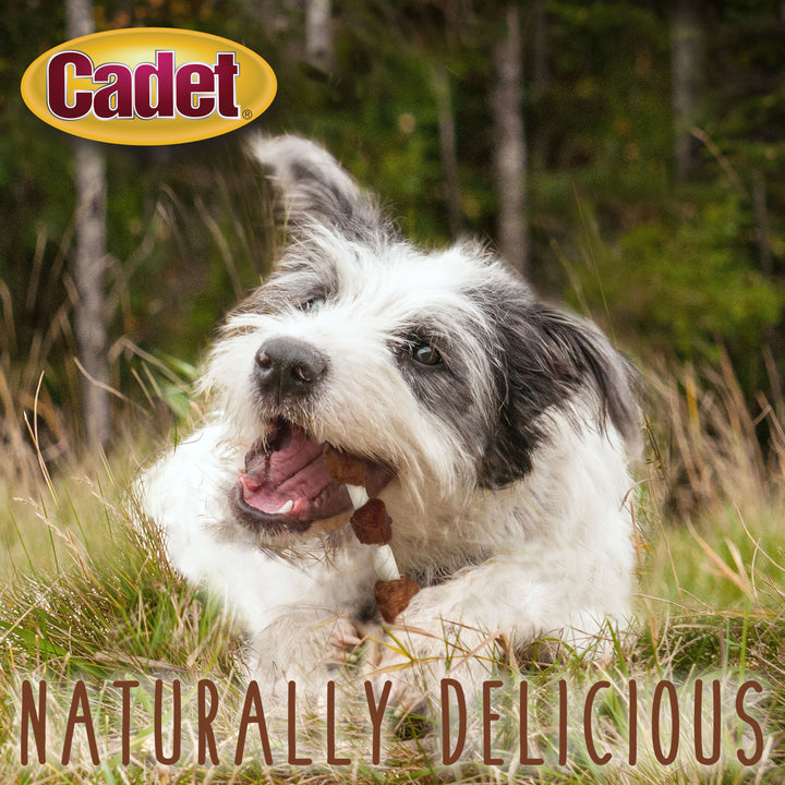 Cadet Gourmet Beef Hide Shish Kabob Dog Treats 24 Ounce