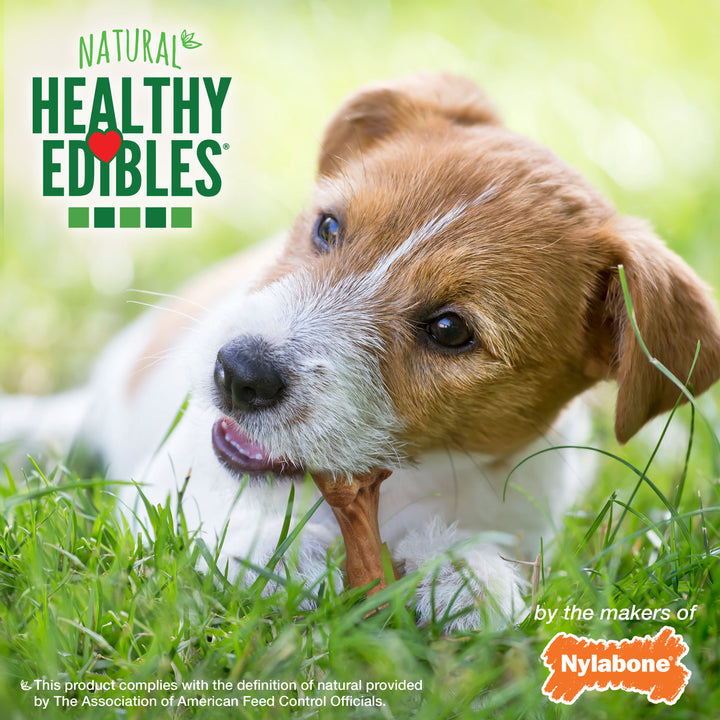Nylabone Healthy Edibles Wild All-Natural Long Lasting Chew Treats Bison Small (16 Count)