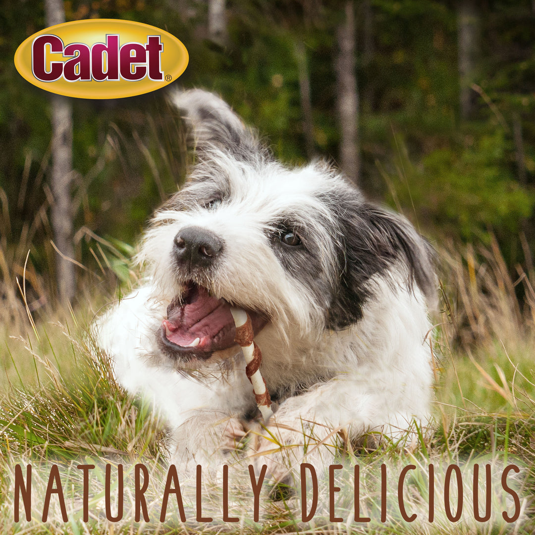 Cadet Gourmet Beef Hide &amp; Duck Dog Twist Sticks 4 Ounce (14 Count)