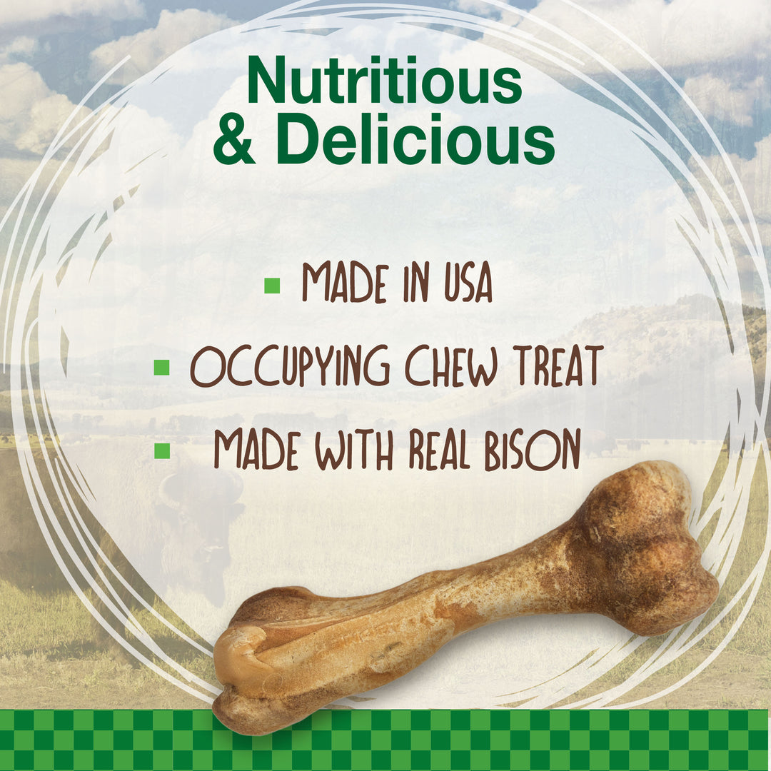 Nylabone Healthy Edibles Wild All-Natural Long Lasting Chew Treats Bison Large (1 Count)