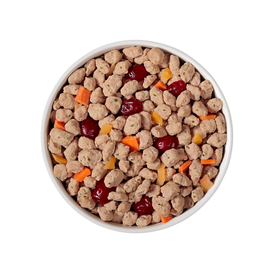 FreshPet Vital puppy chicken, egg, salmon &amp; beef puppy recipe with pumpkin, cranberries &amp; carrots 1.75LB
