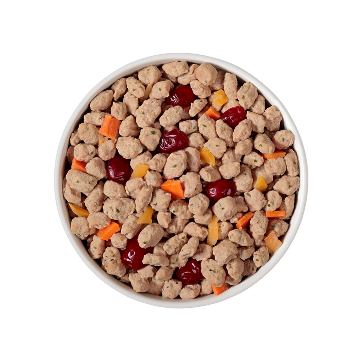 FreshPet Vital puppy chicken, egg, salmon &amp; beef puppy recipe with pumpkin, cranberries &amp; carrots 1.75LB