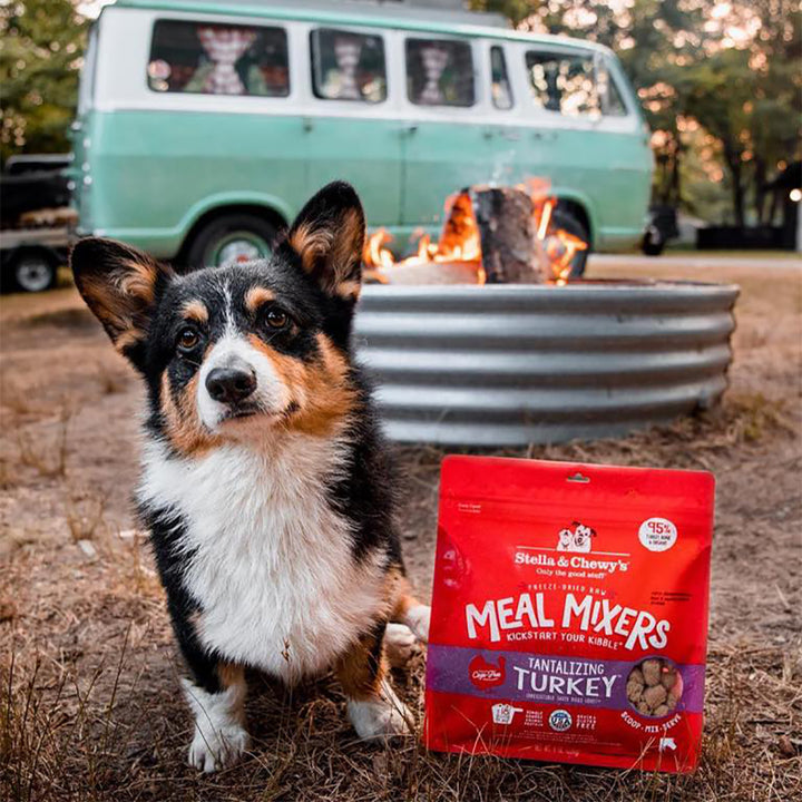 Freeze-Dried Tantalizing Turkey Meal Mixers - 8 oz