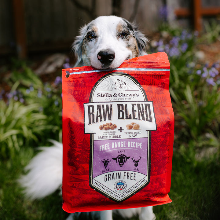 Kibble Raw Blend Free Range - 22 lb