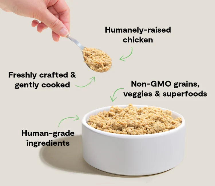 Open Farm Dog Frozen Goodbowl Chicken Grain 96 oz