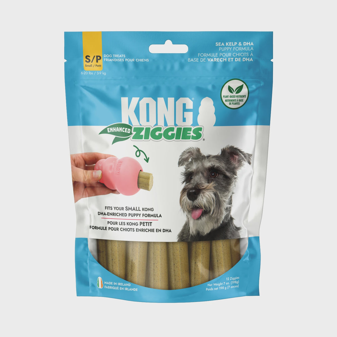 KONG Ziggies Enhanced Puppy Treats Small