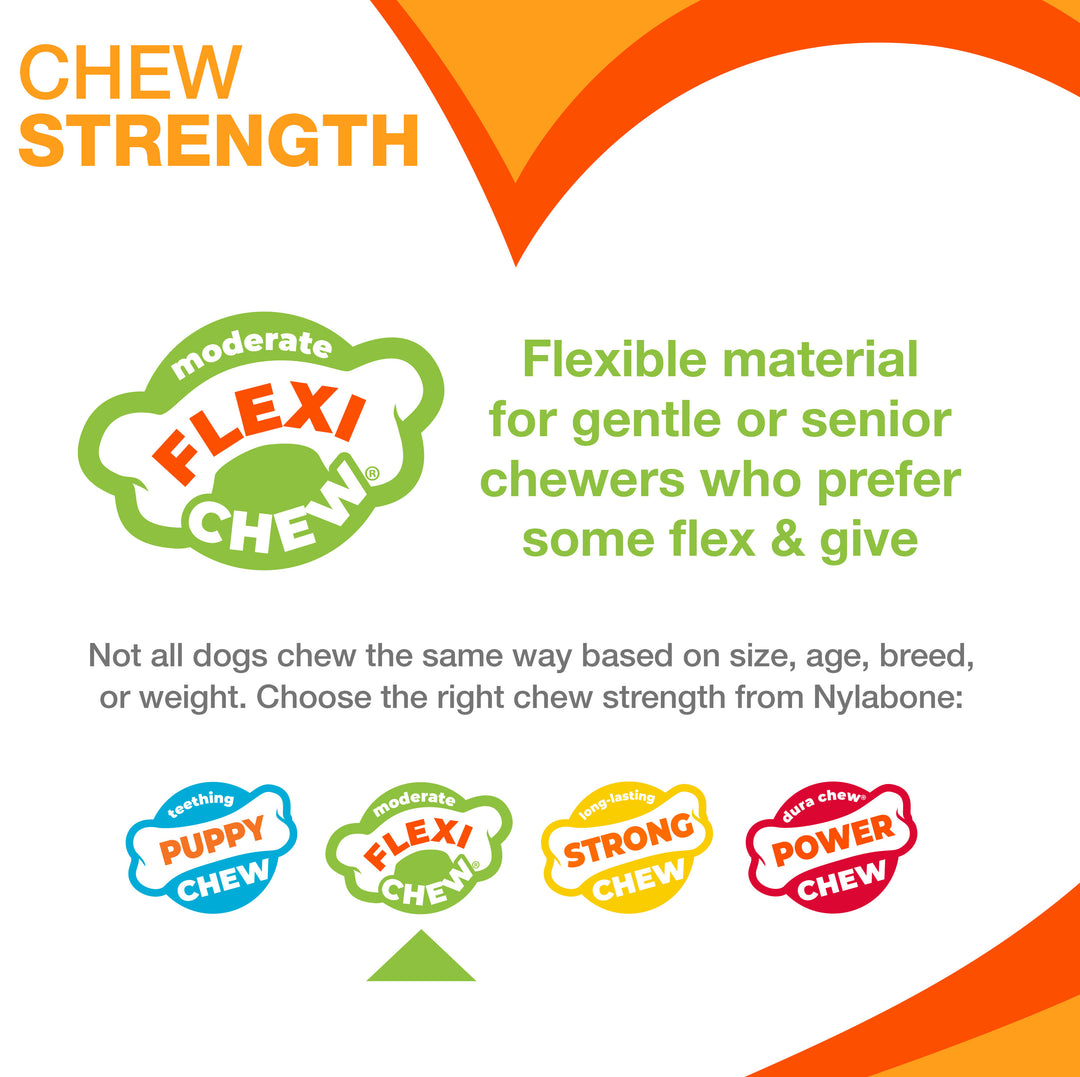 Nylabone Flexi Chew Gumabone Textured Dental Bone Dog Chew Toy Chicken X-Small (1 Count)