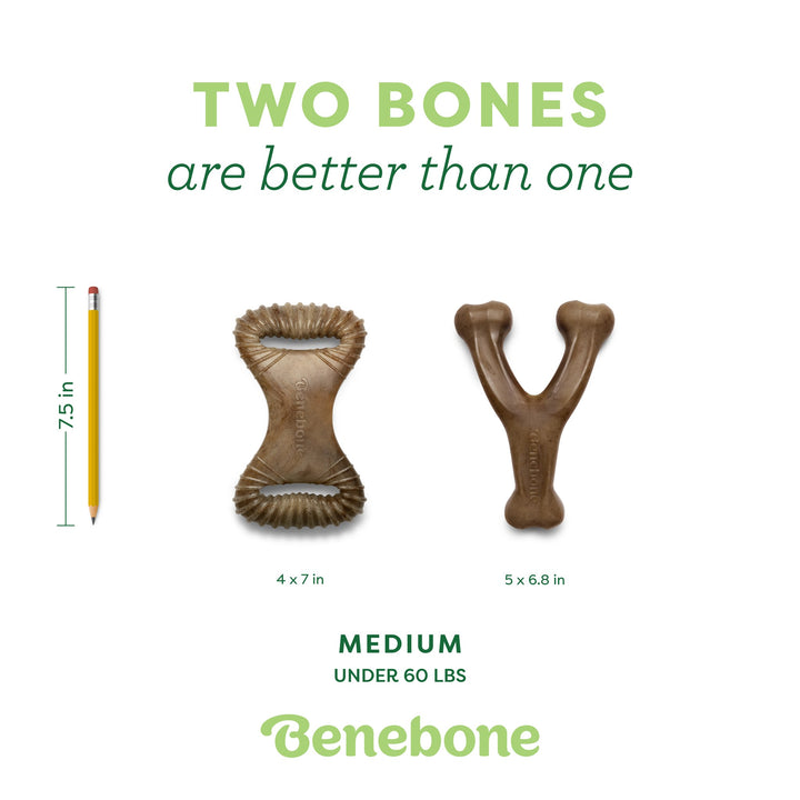 Benebone 2Pack Dental Chew Wishbone Bacon Flavored Medium Dog Chew