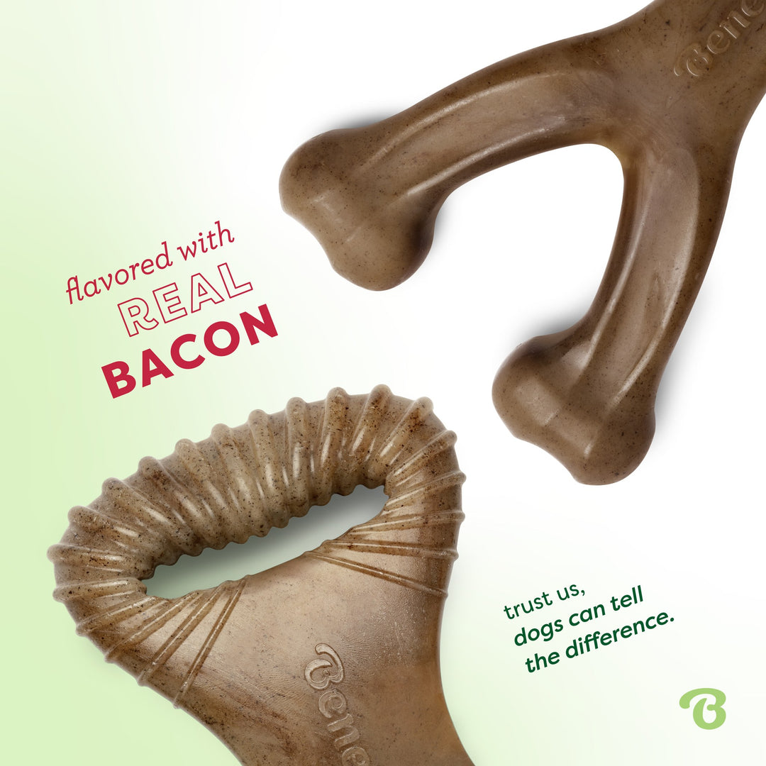 Benebone 2Pack Dental Chew Wishbone Bacon Flavored Medium Dog Chew