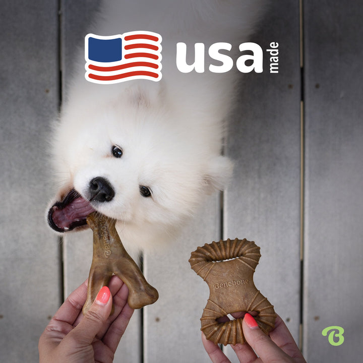 Benebone 2Pack Dental Chew Wishbone Bacon Flavored Medium Dog Chew