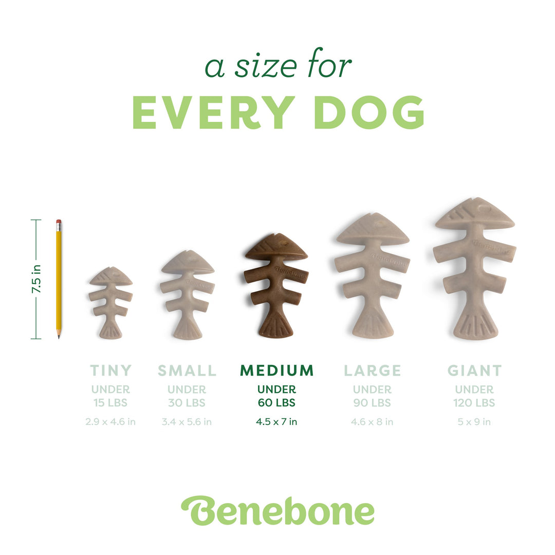 Benebone Fishbone Jack Salmon Medium